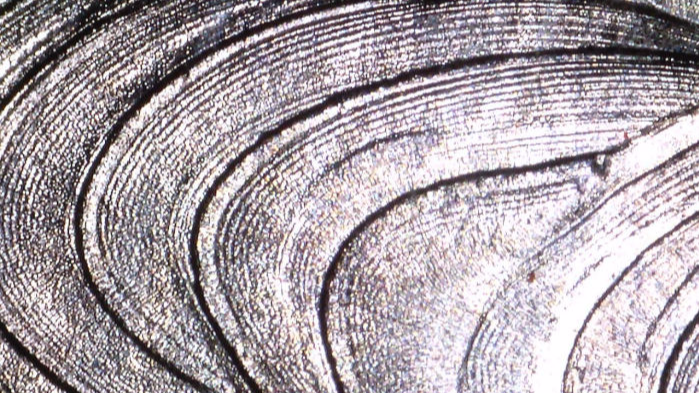 Testiranje in raziskave